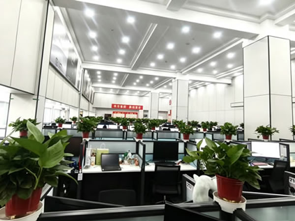 数据标注及采集